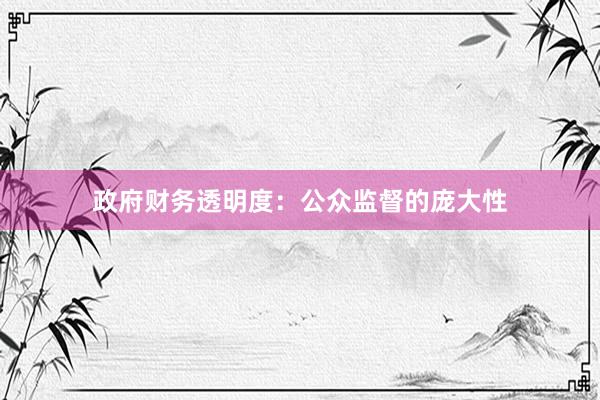 政府财务透明度：公众监督的庞大性